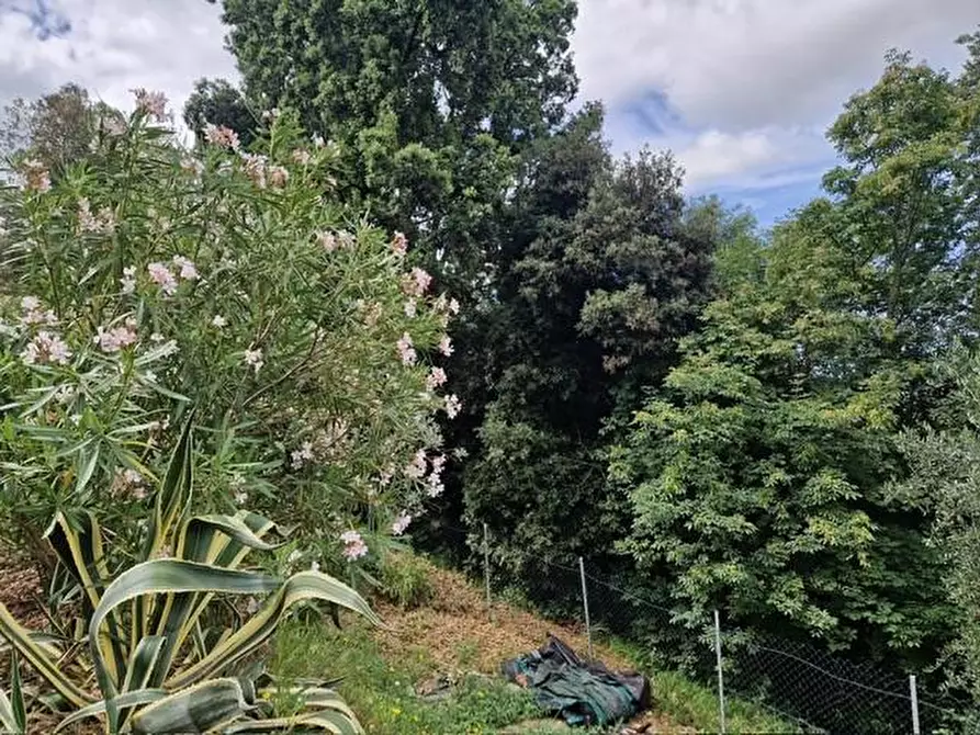 Immagine 12 di Casa bifamiliare in vendita  a Santa Luce