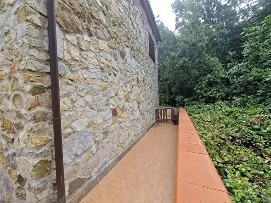 Immagine 3 di Casa bifamiliare in vendita  a Santa Luce