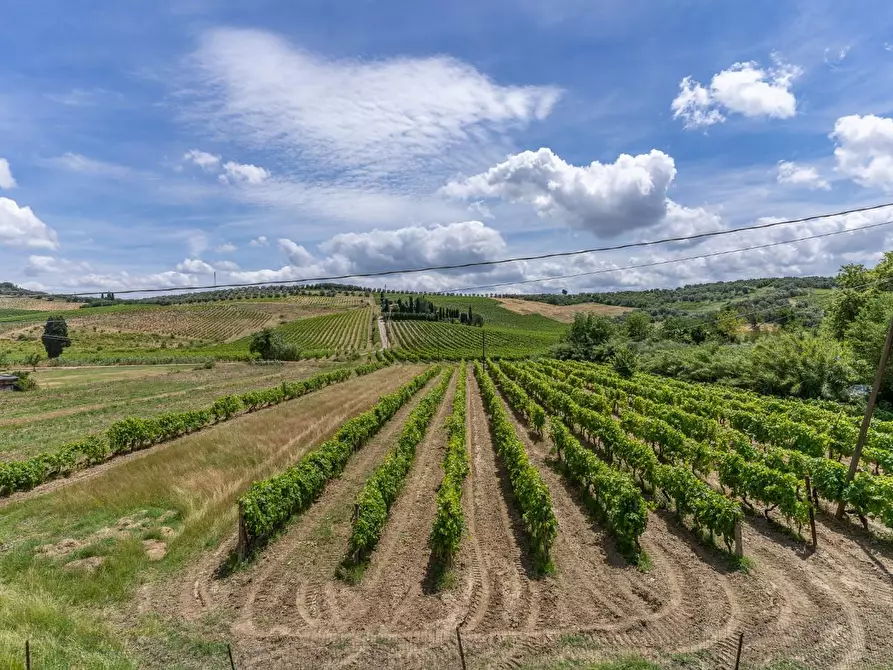 Immagine 18 di Villa in vendita  a Vinci