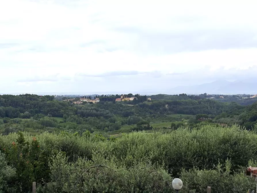 Immagine 11 di Appartamento in vendita  a Casciana Terme Lari