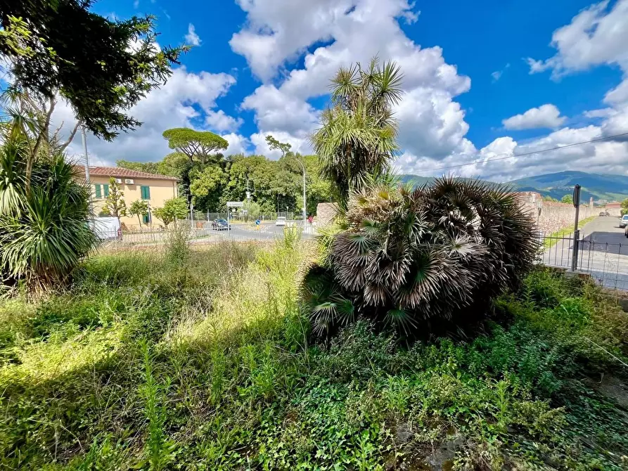 Immagine 17 di Villa in vendita  a San Giuliano Terme