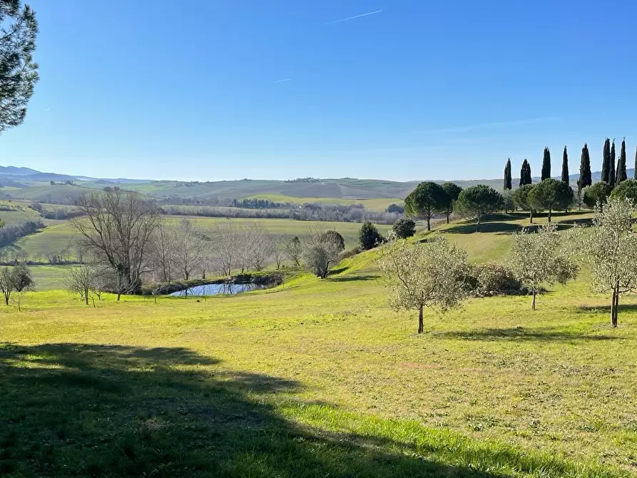 Immagine 1 di Casa colonica in vendita  a Casciana Terme Lari