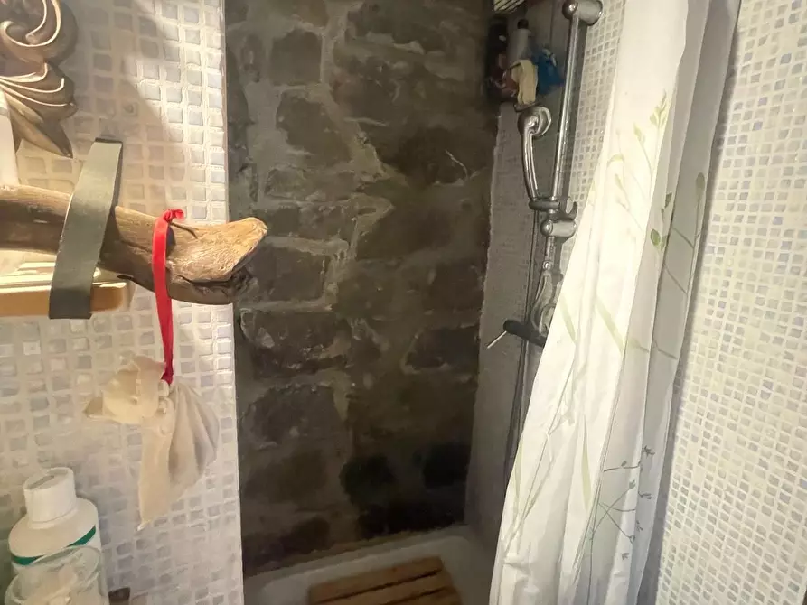 Immagine 34 di Casa indipendente in vendita  a La Spezia