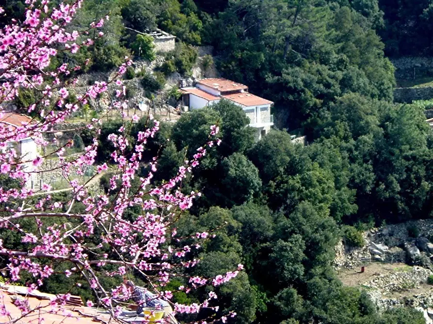 Immagine 42 di Casa indipendente in vendita  a La Spezia