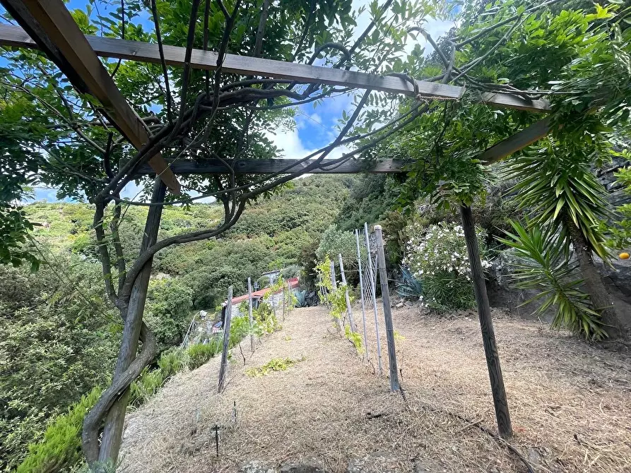 Immagine 36 di Casa indipendente in vendita  a La Spezia