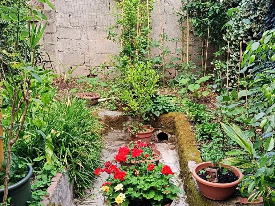 Immagine 17 di Terratetto in vendita  a Pisa