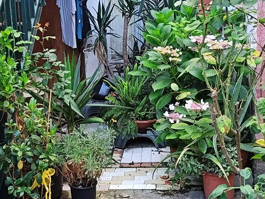 Immagine 12 di Terratetto in vendita  a Pisa