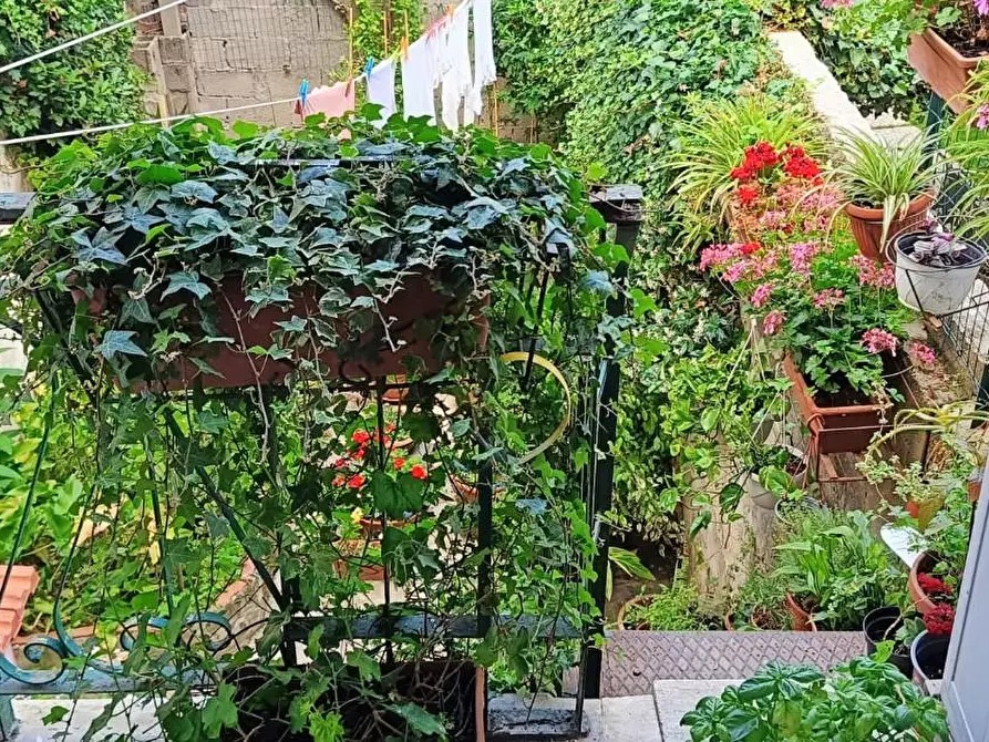 Immagine 15 di Terratetto in vendita  a Pisa