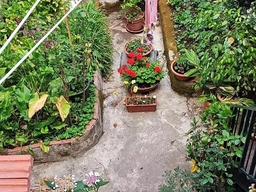 Immagine 13 di Terratetto in vendita  a Pisa