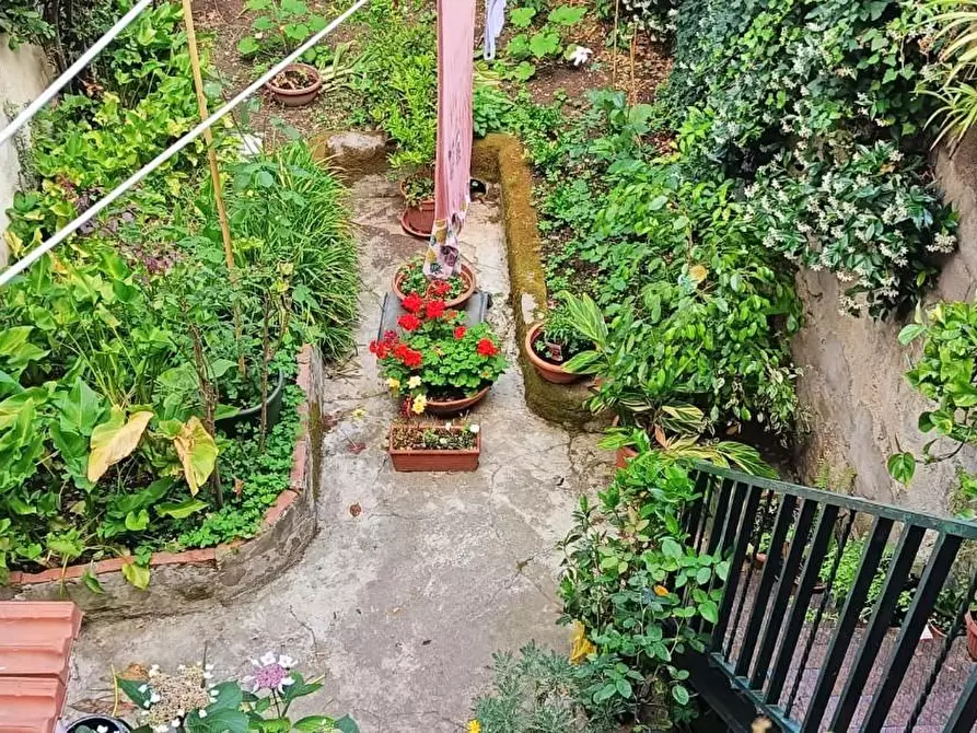 Immagine 11 di Terratetto in vendita  a Pisa