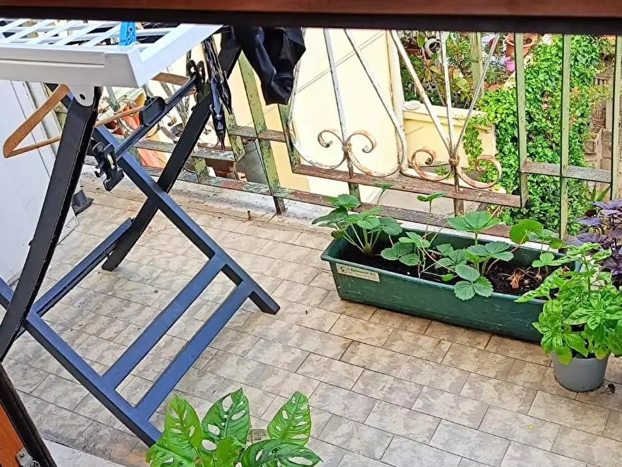 Immagine 20 di Terratetto in vendita  a Pisa