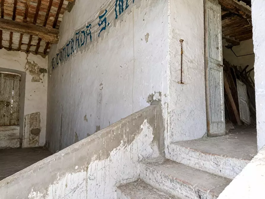 Immagine 15 di Palazzo in vendita  a Peccioli