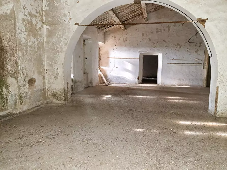 Immagine 5 di Palazzo in vendita  a Peccioli