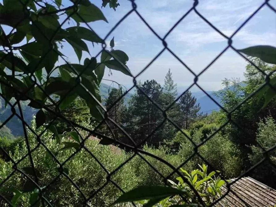 Immagine 19 di Casa indipendente in vendita  a Massa