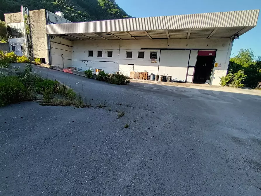 Immagine 1 di Capannone industriale in vendita  a Borgo A Mozzano