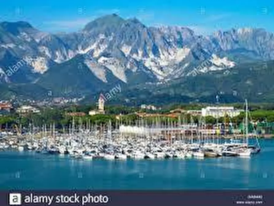 Immagine 7 di Casa indipendente in vendita  a Carrara