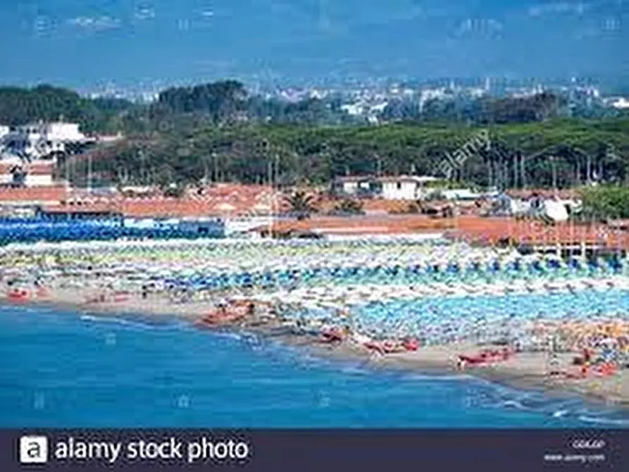 Immagine 6 di Casa indipendente in vendita  a Carrara