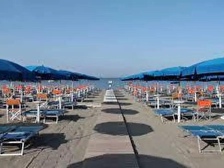 Immagine 4 di Casa indipendente in vendita  a Carrara