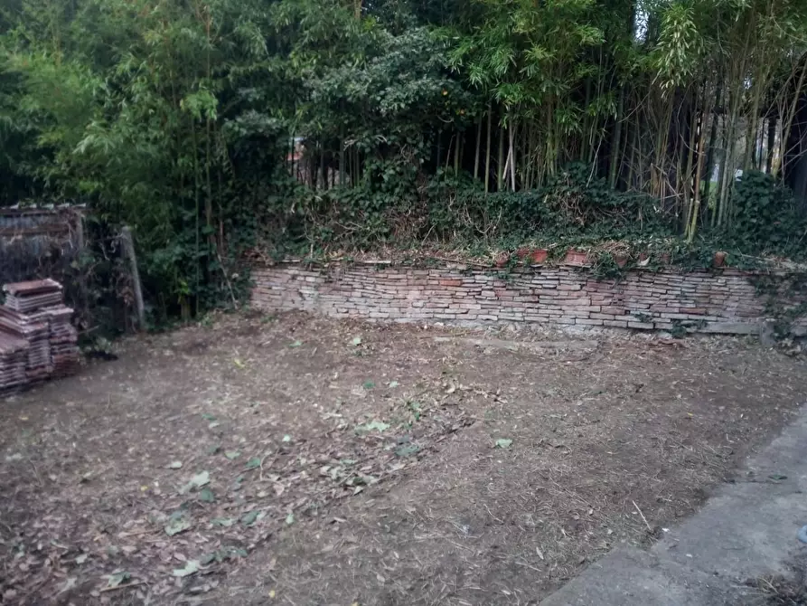 Immagine 44 di Terratetto in vendita  a Peccioli