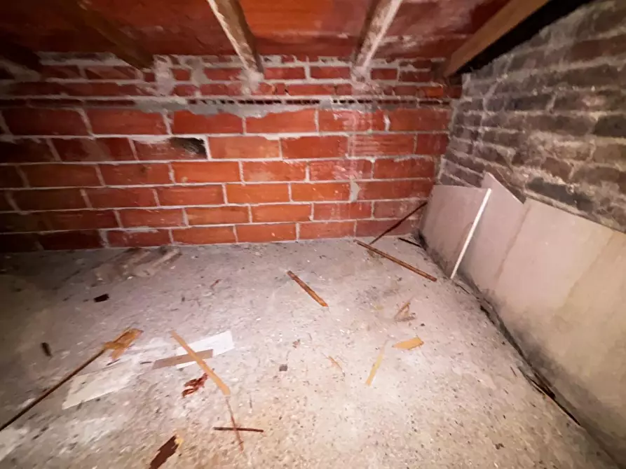 Immagine 23 di Terratetto in vendita  a Peccioli