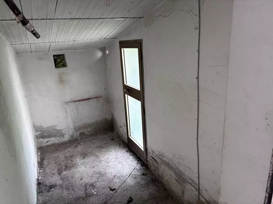 Immagine 38 di Terratetto in vendita  a Peccioli