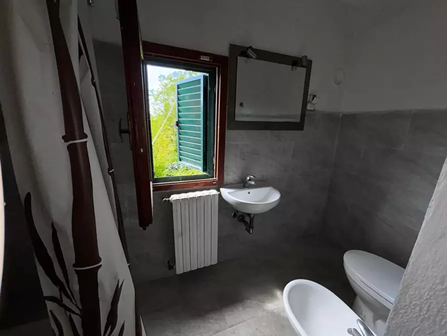 Immagine 47 di Terratetto in vendita  a Peccioli