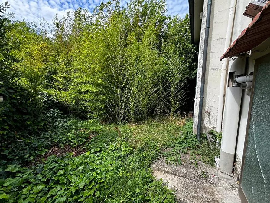 Immagine 32 di Terratetto in vendita  a Peccioli