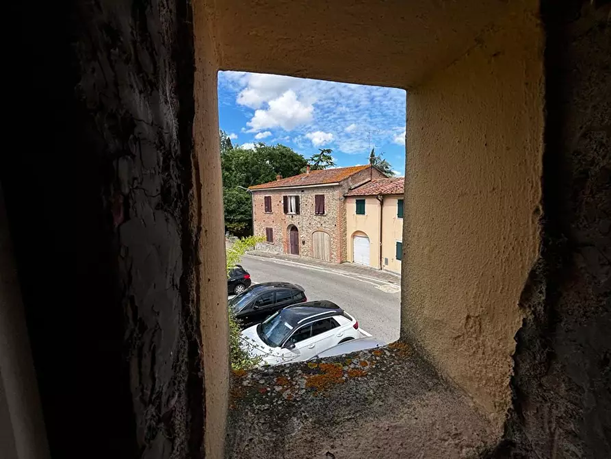 Immagine 29 di Terratetto in vendita  a Peccioli
