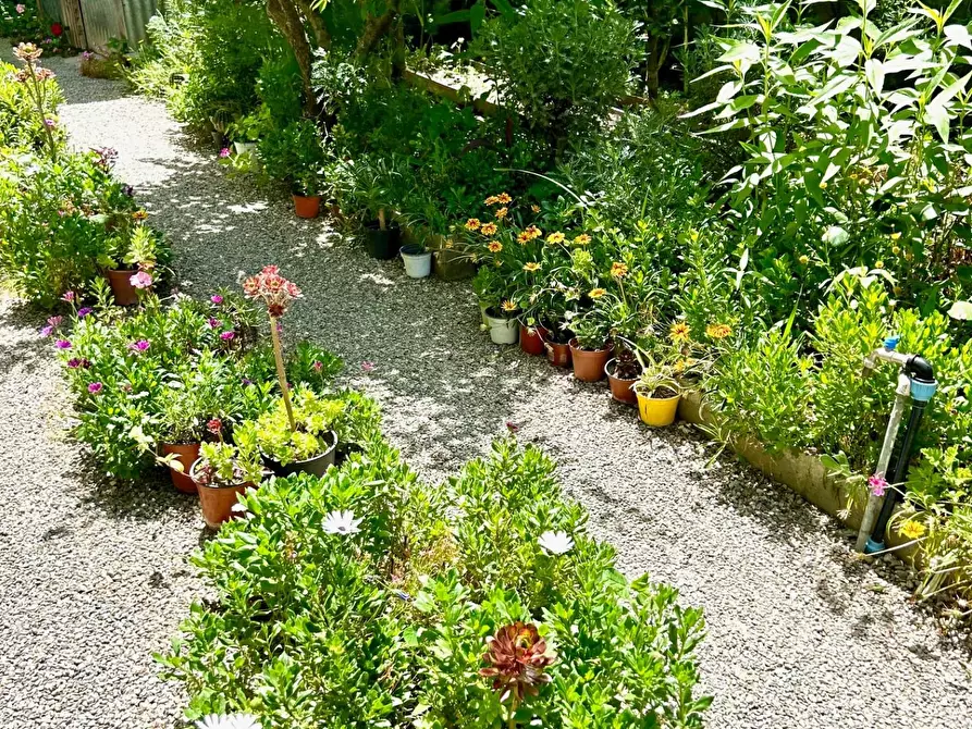 Immagine 9 di Villa in vendita  a Ponsacco