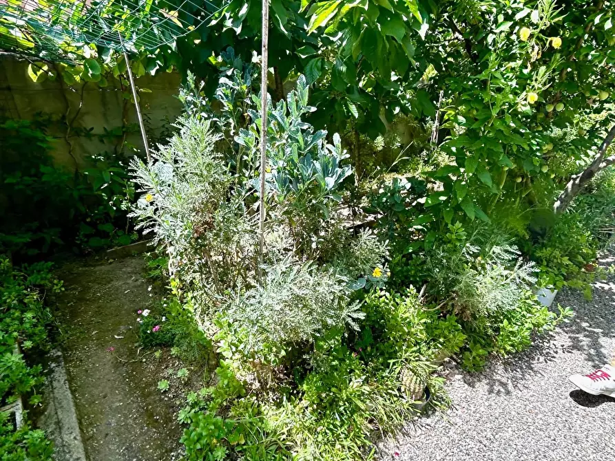 Immagine 3 di Villa in vendita  a Ponsacco