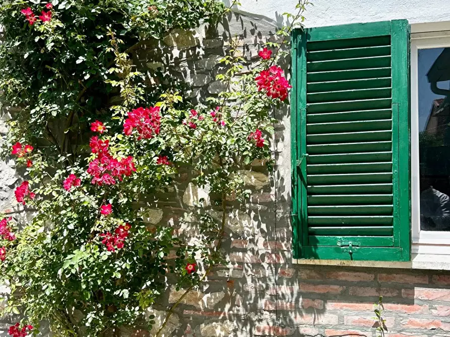 Immagine 11 di Villa in vendita  a Ponsacco