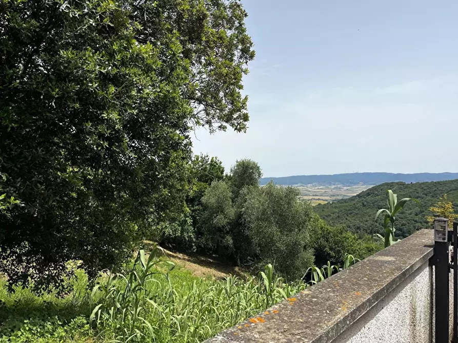 Immagine 22 di Terratetto in vendita  a Rosignano Marittimo