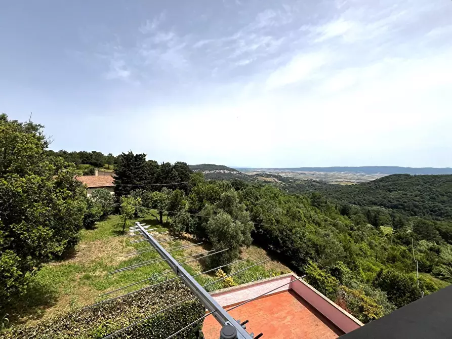 Immagine 20 di Terratetto in vendita  a Rosignano Marittimo