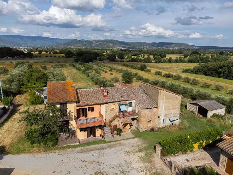 Immagine 1 di Terratetto in vendita  a Cortona