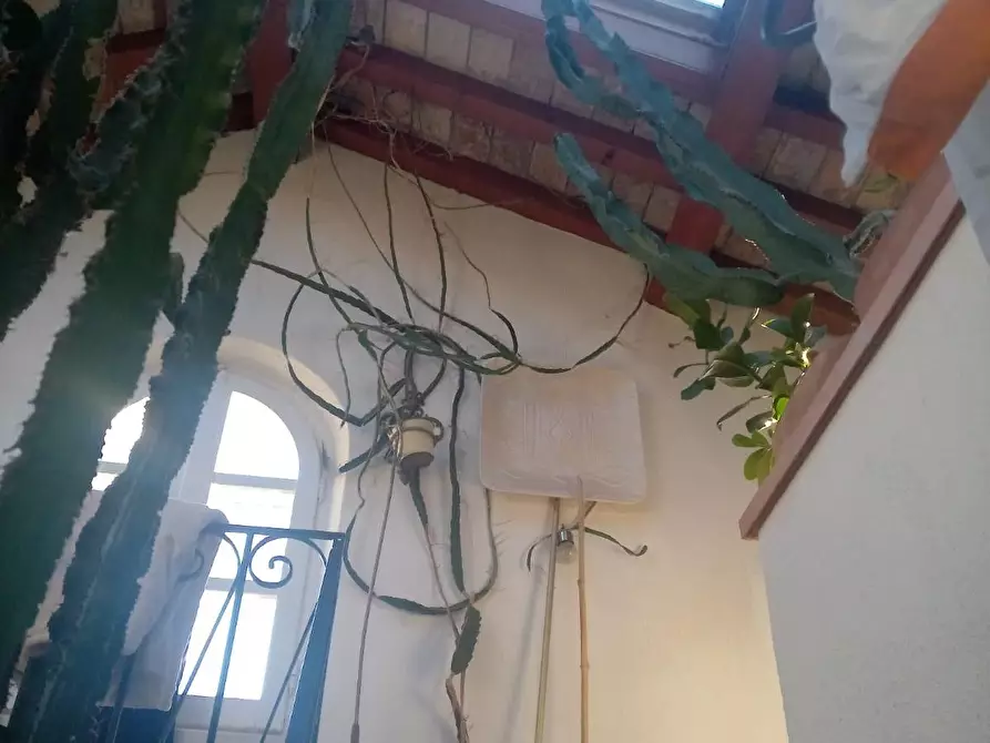 Immagine 27 di Terratetto in vendita  a Carrara