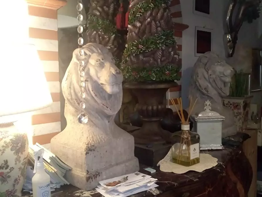 Immagine 4 di Terratetto in vendita  a Carrara