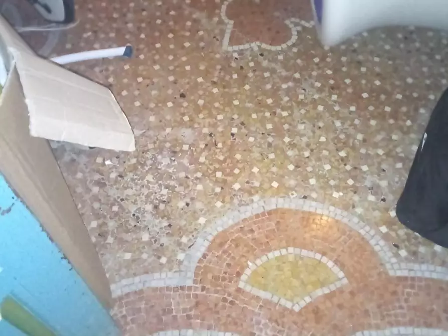 Immagine 29 di Terratetto in vendita  a Carrara