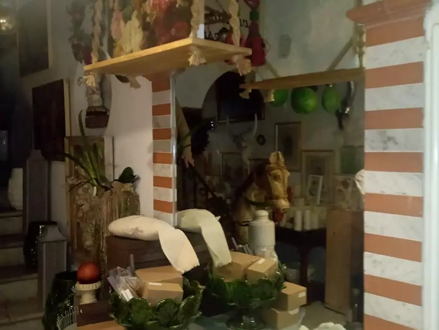 Immagine 3 di Terratetto in vendita  a Carrara