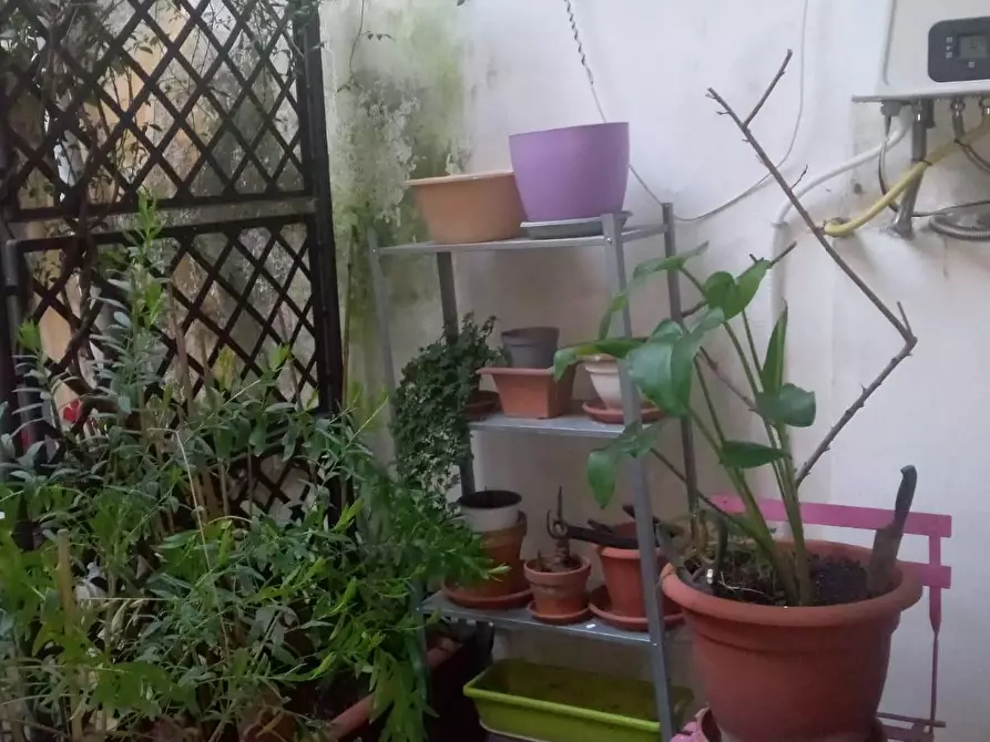 Immagine 31 di Terratetto in vendita  a Carrara