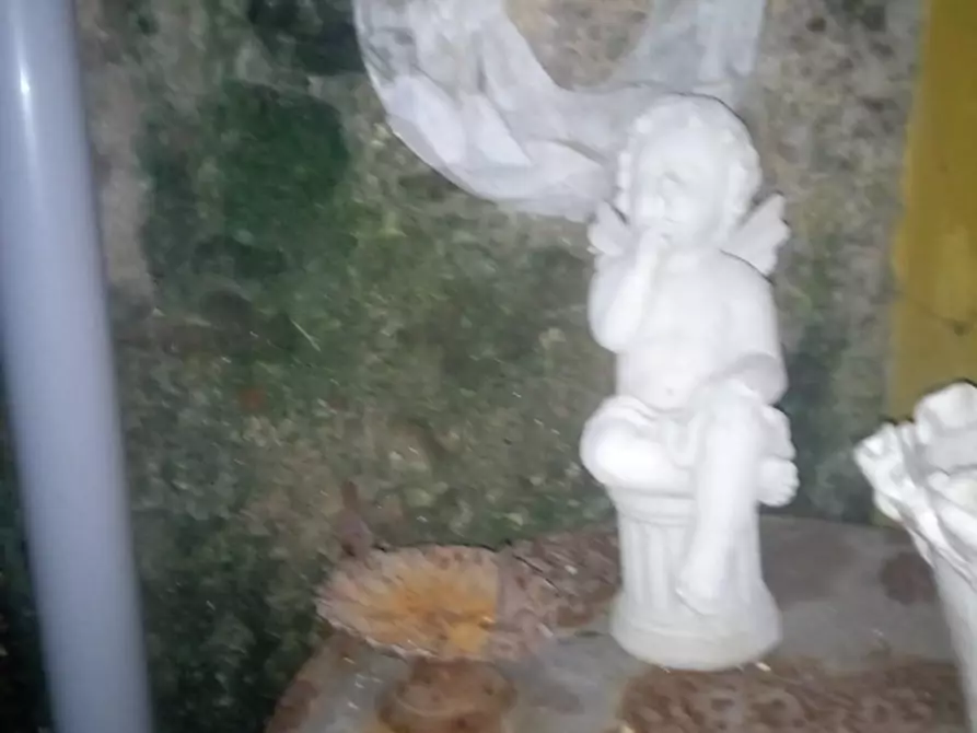 Immagine 10 di Terratetto in vendita  a Carrara