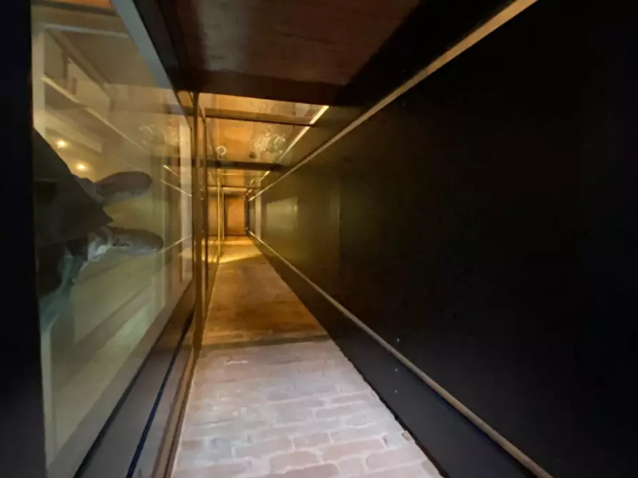 Immagine 24 di Terratetto in vendita  a Casciana Terme Lari