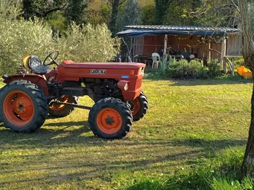 Immagine 1 di Terreno agricolo in vendita  a Ponsacco