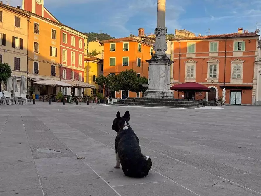 Immagine 9 di Appartamento in vendita  a Massa