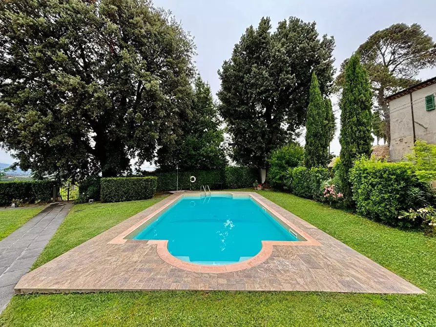 Immagine 6 di Appartamento in vendita  a Terricciola