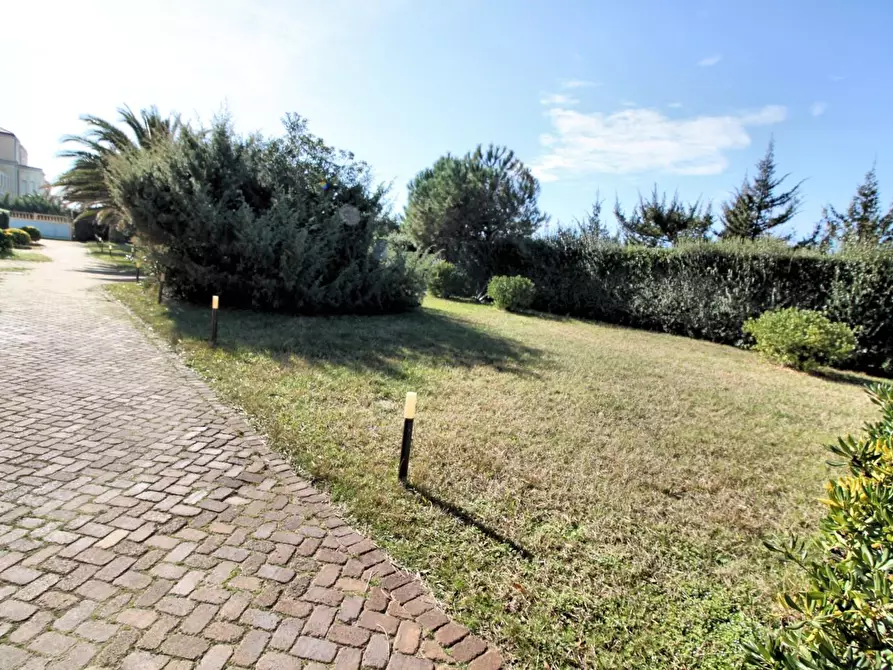 Immagine 2 di Appartamento in vendita  a Pisa