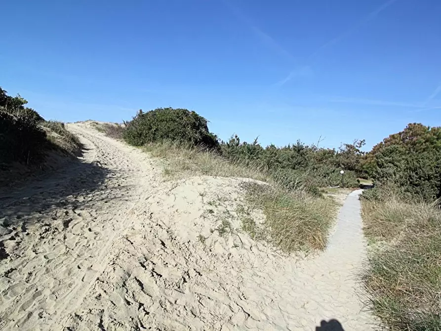 Immagine 7 di Appartamento in vendita  a Pisa