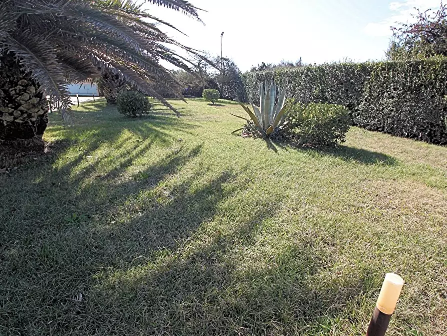 Immagine 3 di Appartamento in vendita  a Pisa