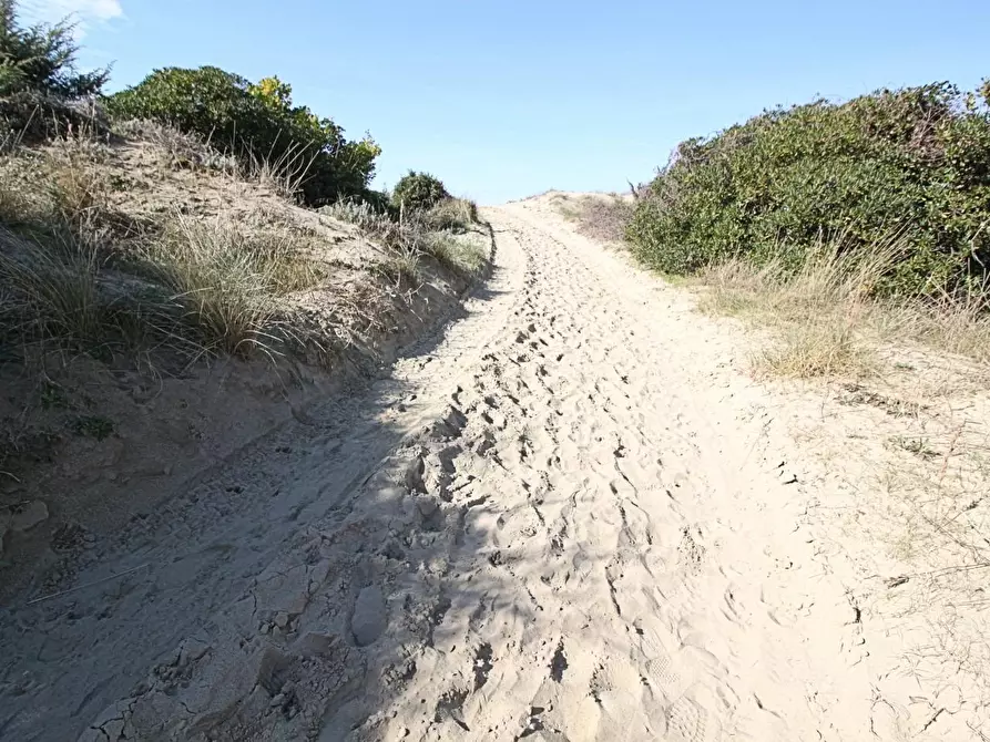 Immagine 8 di Appartamento in vendita  a Pisa