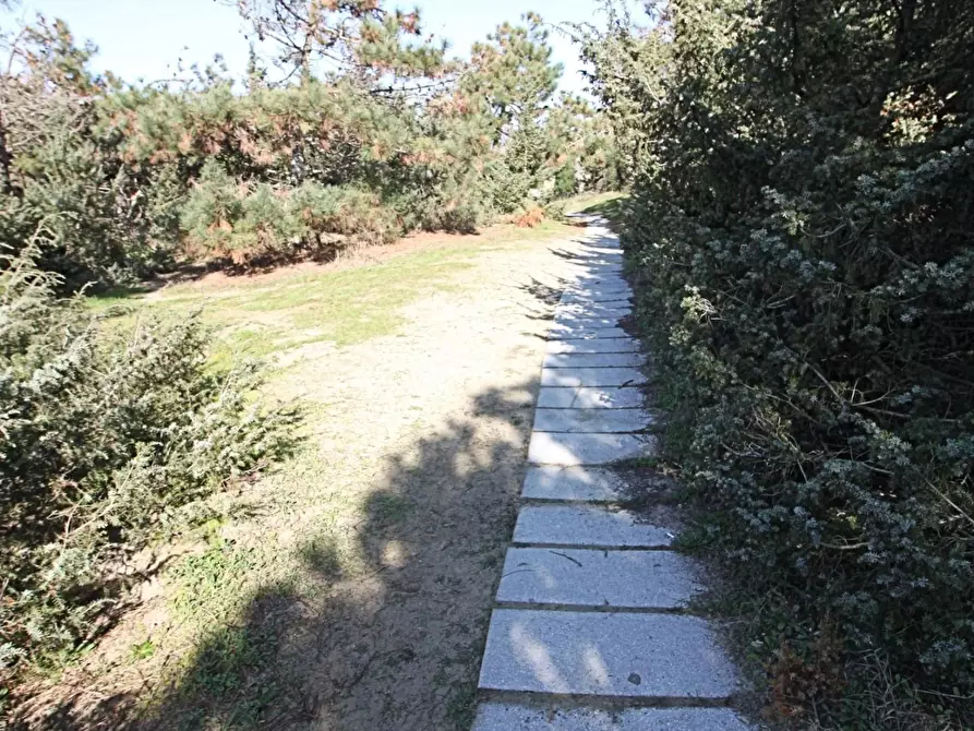 Immagine 6 di Appartamento in vendita  a Pisa