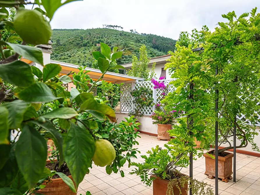 Immagine 27 di Villa in vendita  a San Giuliano Terme